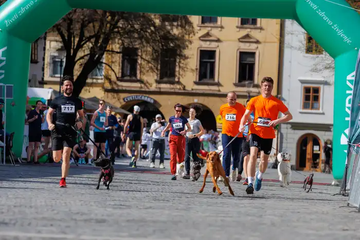 191775665613avtor-Jani-Brajkovič JB_M2949.webp-nm-tek.si